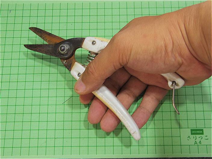 家庭菜園 どんなハサミを使ってますか 家庭菜園とお出かけスポット サンシャインラブ