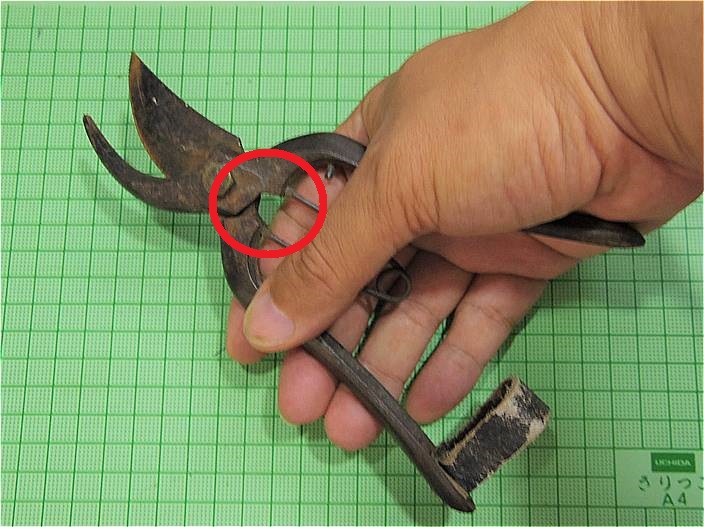 家庭菜園 どんなハサミを使ってますか 家庭菜園とお出かけスポット サンシャインラブ